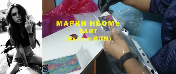 шишки Алзамай
