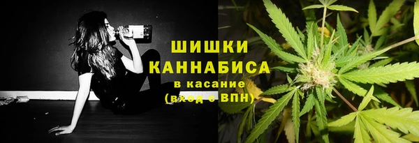 шишки Алзамай