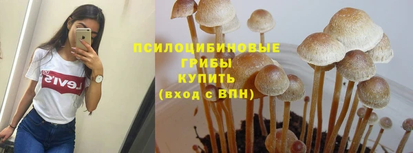 шишки Алзамай