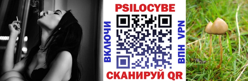 Галлюциногенные грибы GOLDEN TEACHER  закладки  Тогучин 